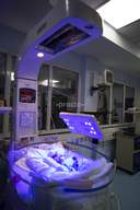Apollo Cradle_2