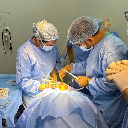 Surgeries & Treatments