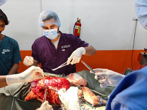 Surgeries & Treatments