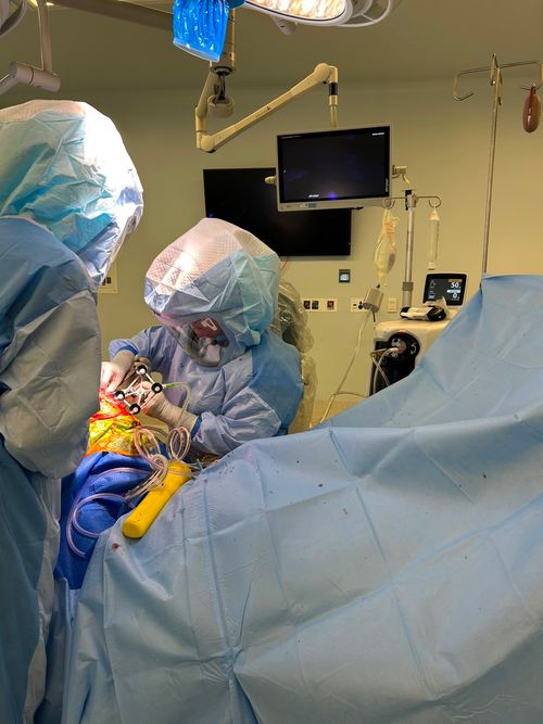 Surgeries & Treatments