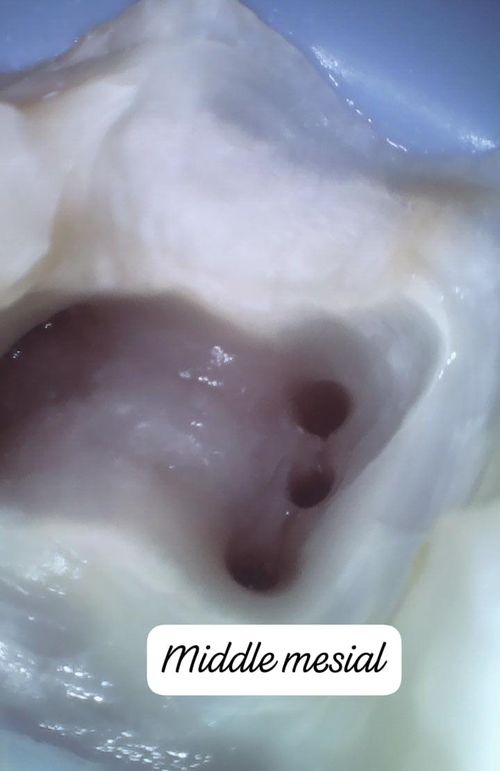 Surgeries & Treatments
